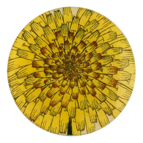 John Derian 4" Round Plates