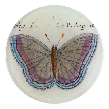 Butterfly illustration on a round ceramic tile with text