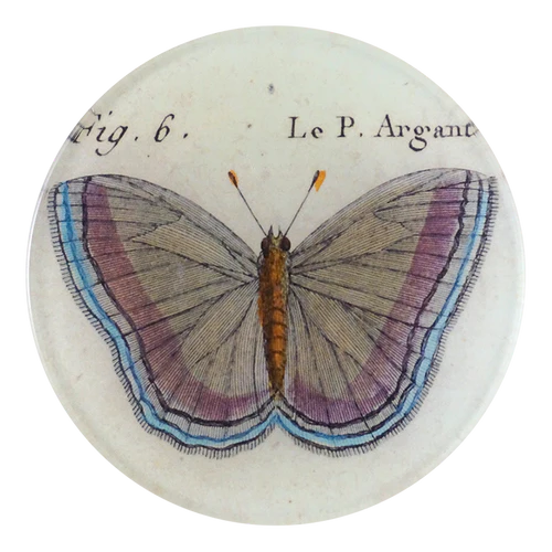 Butterfly illustration on a round ceramic tile with text