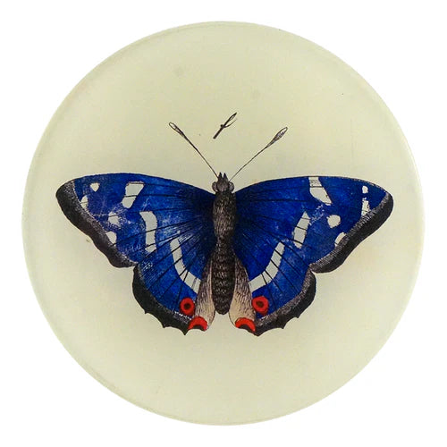 John Derian 4" Round Plates