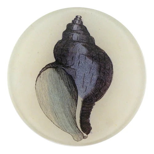 Round glass plate with a black and gray shell design on a white background