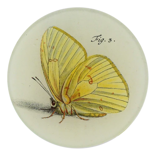 Butterfly illustration on a round ceramic tile with 'Fig. 3.' text.