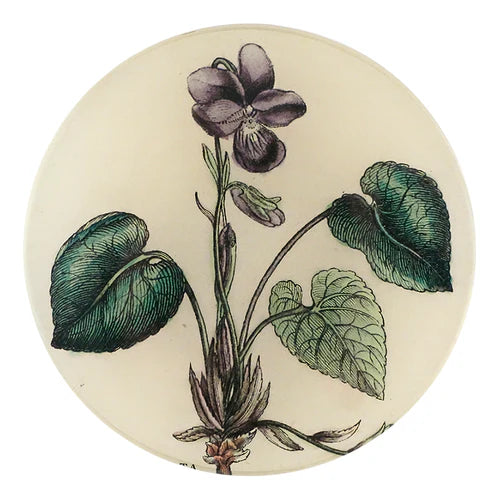 Round ceramic knob with botanical design of a flower and leaves on a beige background