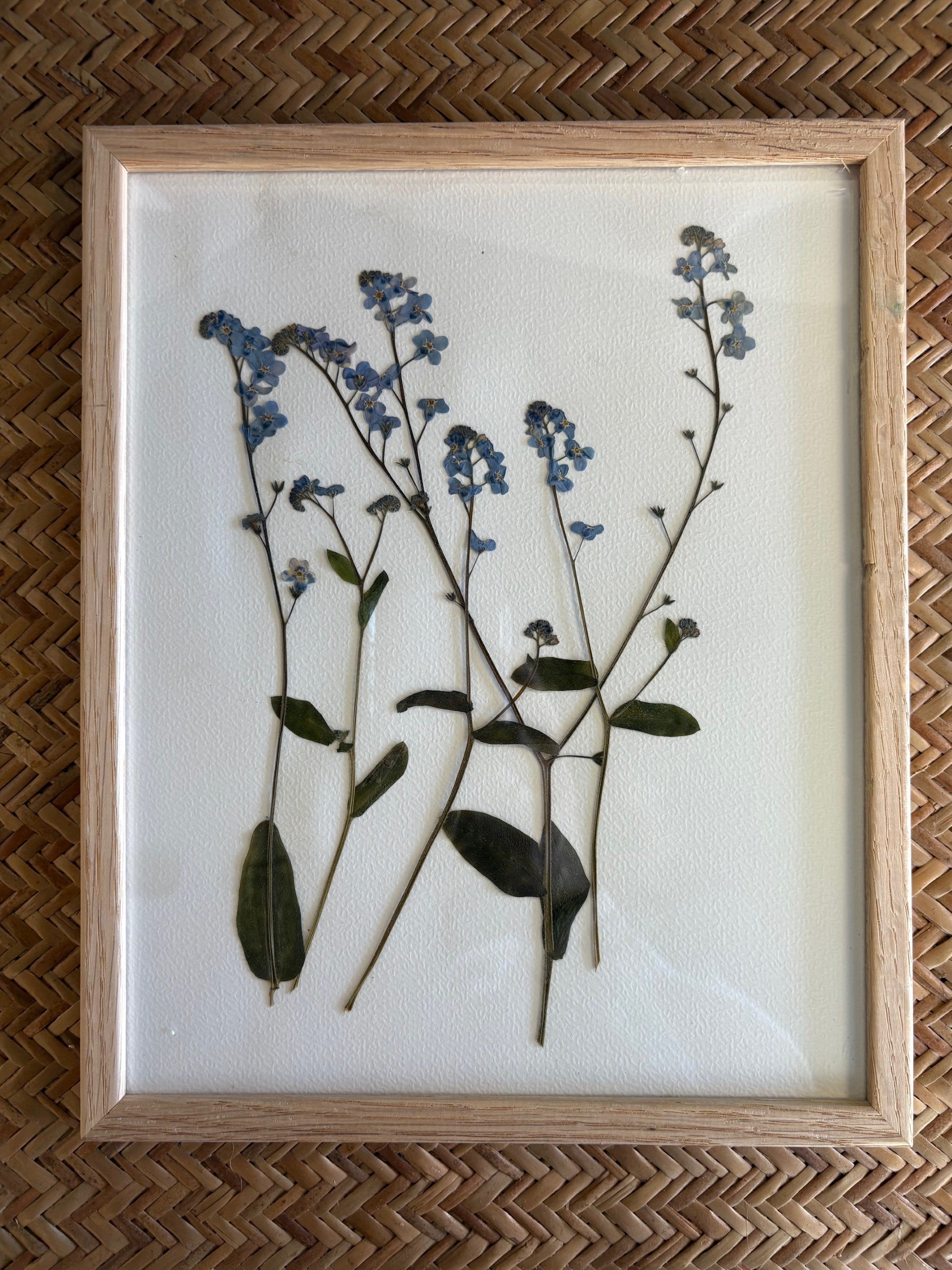 Framed pressed flowers on a woven surface