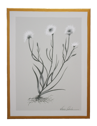3 large stalks botanical hand painted