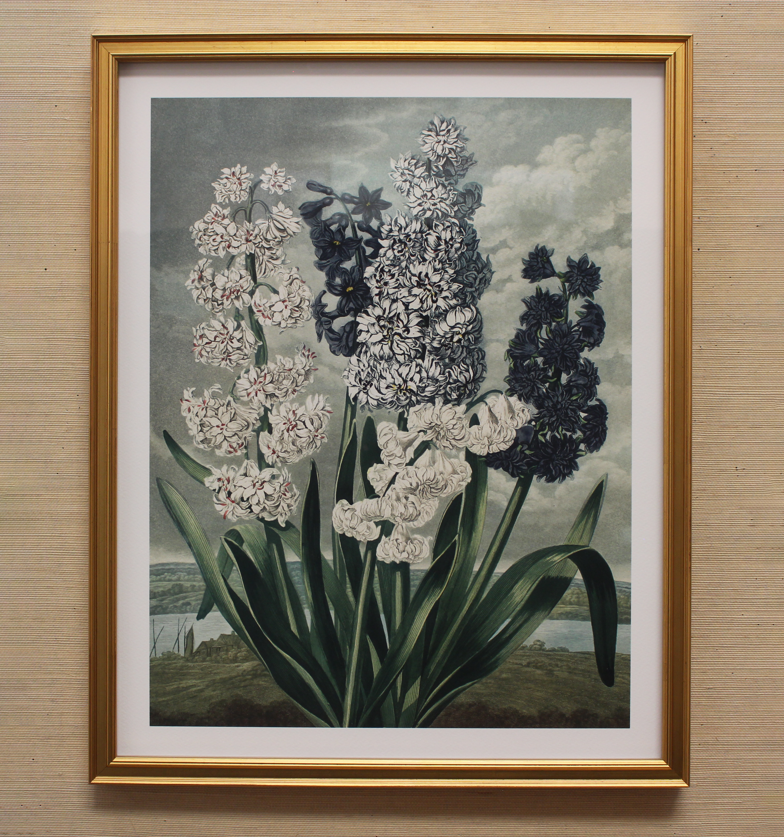 Flora Garden Framed Botanical Print