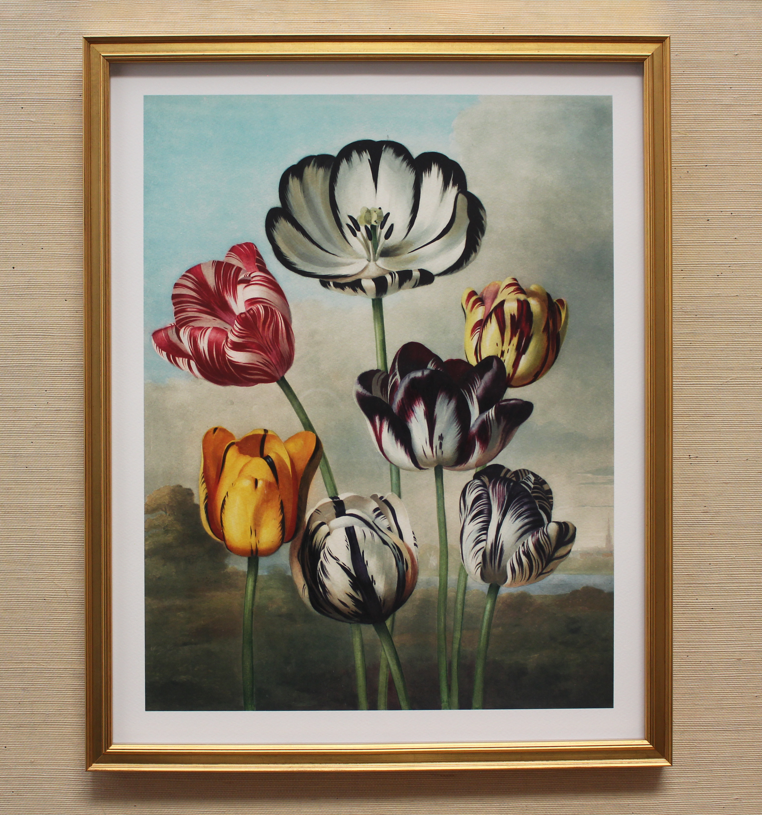 Flora Garden Framed Botanical Print