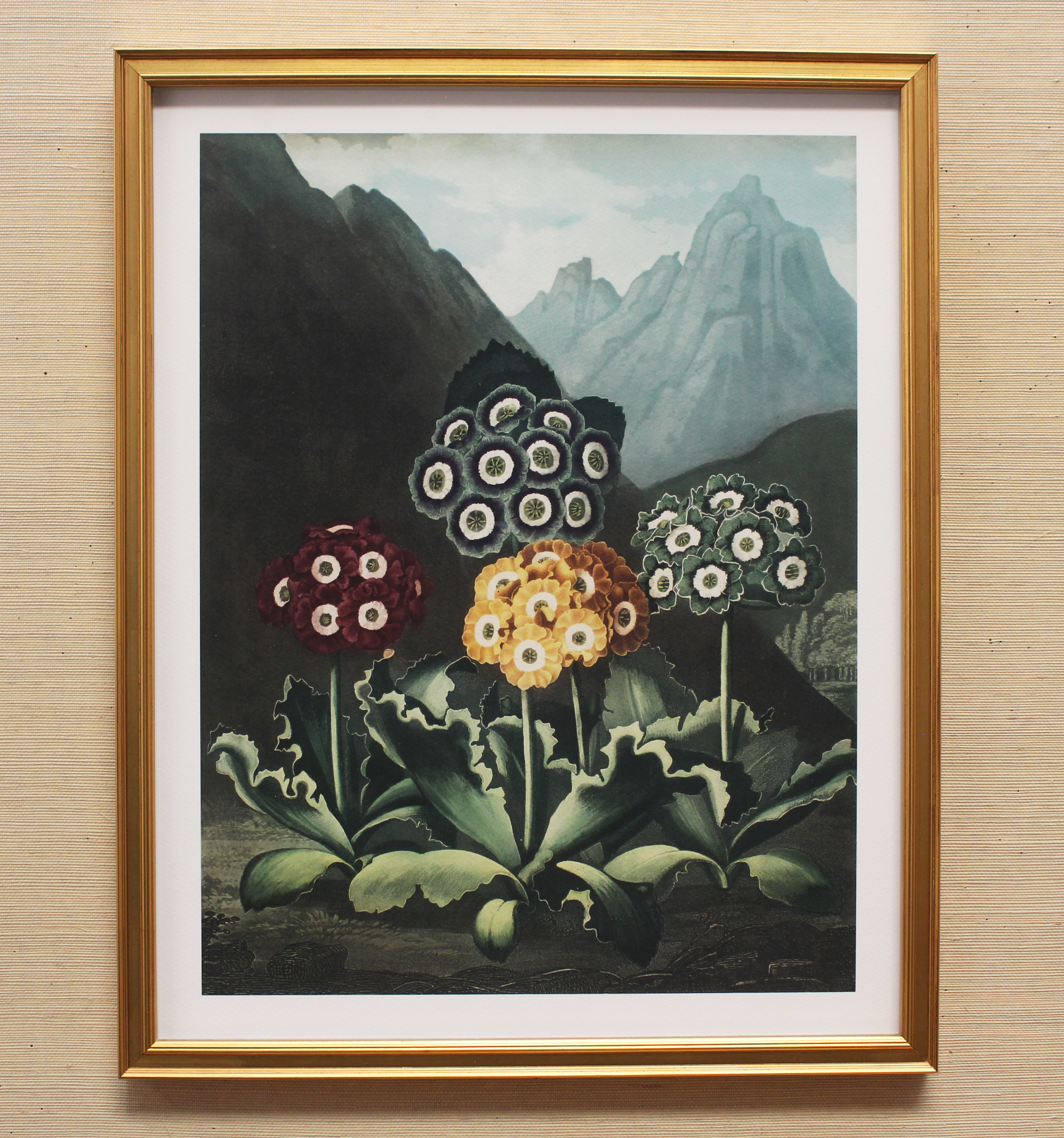 Flora Garden Framed Botanical Print