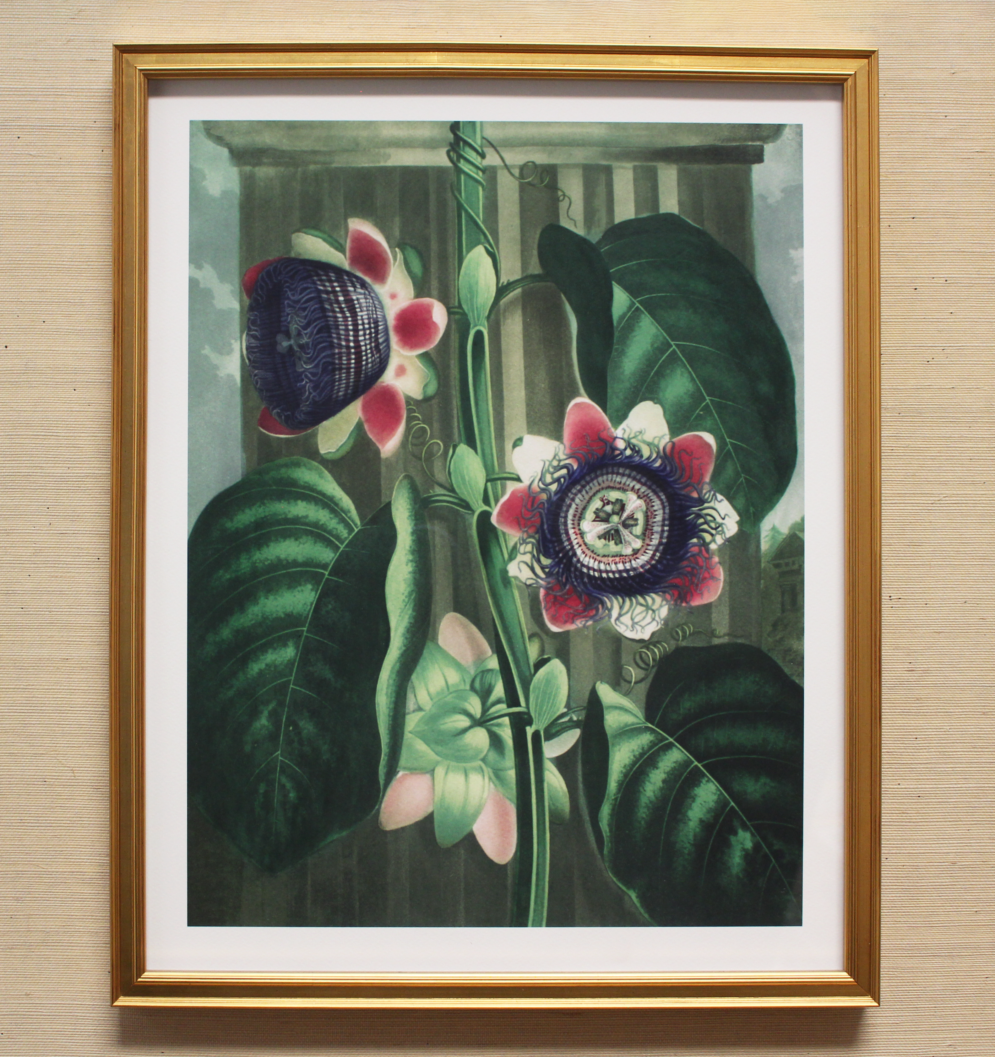 Flora Garden Framed Botanical Print