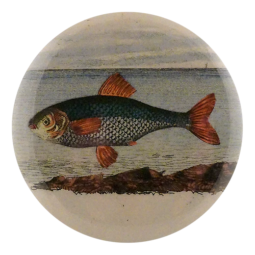 John Derian Decoupage Button Mirror