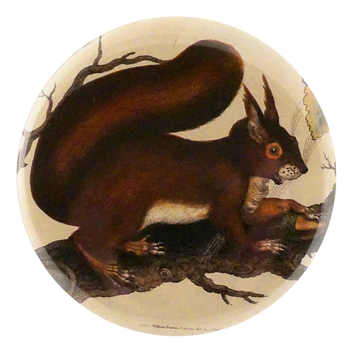John Derian Decoupage Button Mirror