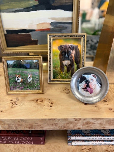 Framed pictures of dogs on a wooden surface with a decorative bowl.