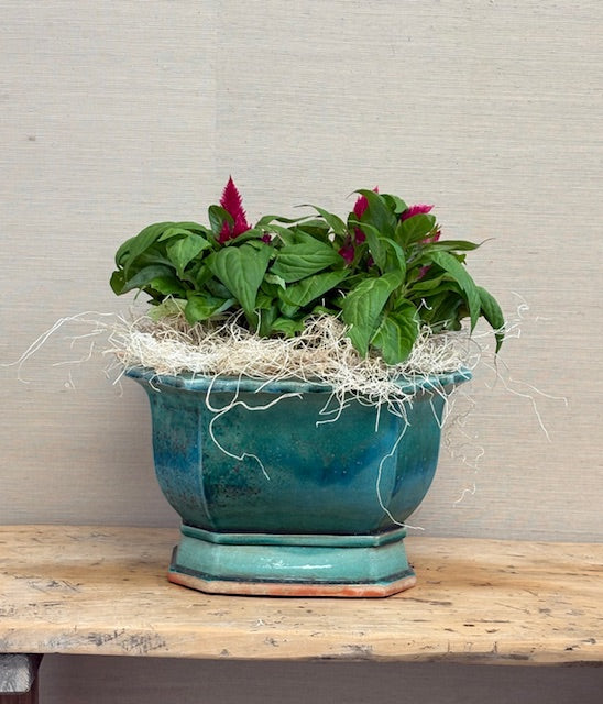 Speckled Green Rectangular Planter
