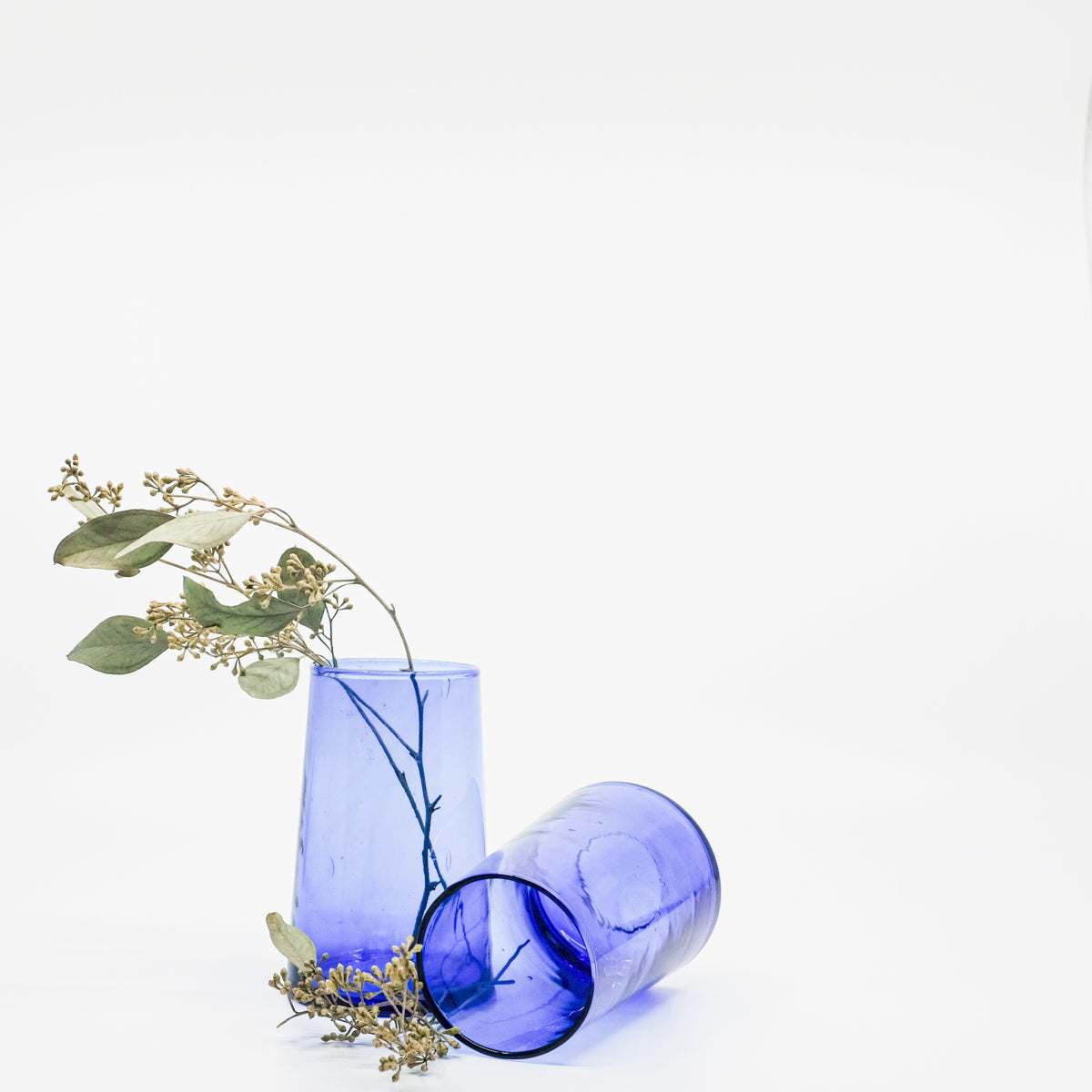 translucent blue glasses with greenery