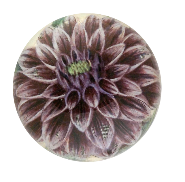 purple dahlia decoupage dome paperweight from John Derian