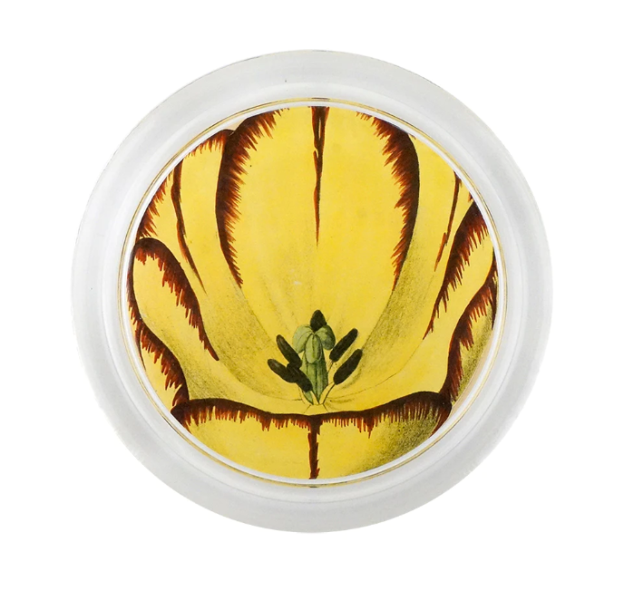 yellow tulip decoupage coaster from john derian