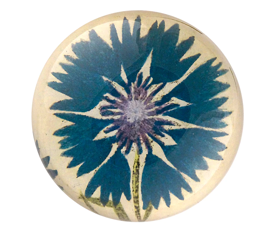 blue corn flower decoupage under glass dome from john derian