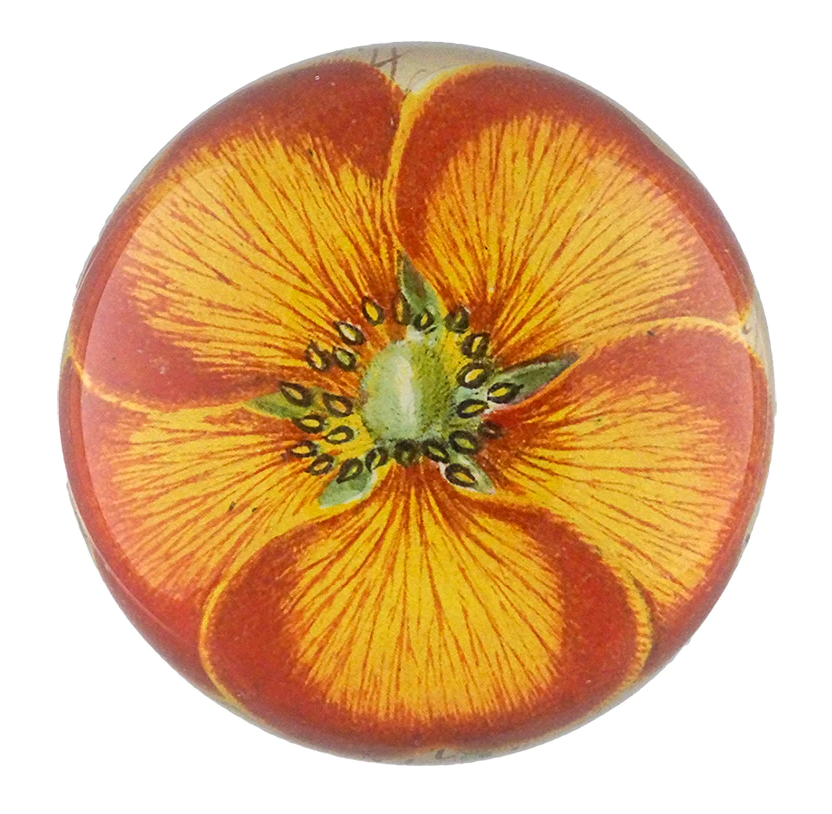 orange nasturtium decoupage dome paperweight from john derian