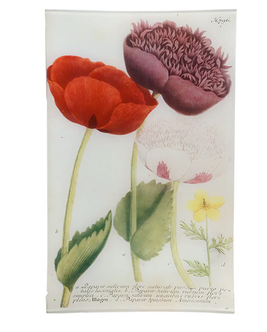 deep purple poppy image on john derian decoupage tray