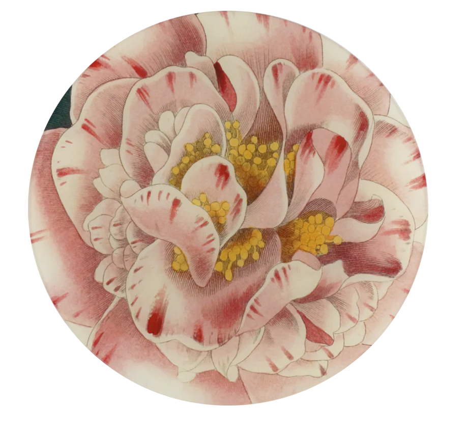 john derian round plate