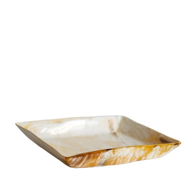 horn tray
