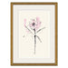 Framed wall art featuring a minimalist black ink sketch of a single flower with soft pink watercolor washes on an off-white background, enclosed in a white mat and a gold frame.