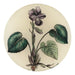 Round ceramic knob with botanical design of a flower and leaves on a beige background