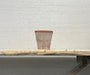 Terracotta pot on a wooden bench against a textured wall