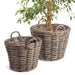 Two wicker planters with handles on a white background