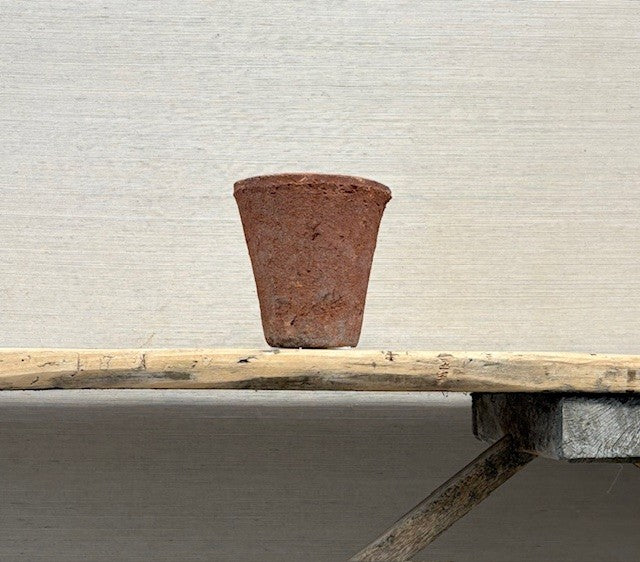 Terracotta pot on a wooden bench against a plain wall