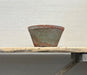 terra cotta pot on a wooden table against a textured wall.