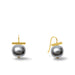 Pair of pearl earrings with gold hooks on a white background