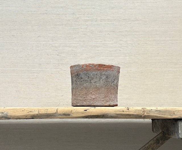 Small terra cotta pot on a wooden plank against a textured beige wall