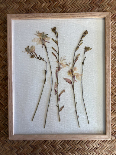 Framed artwork with pressed flowers on a textured surface