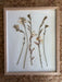 Framed artwork with pressed flowers on a textured surface