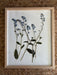 Framed pressed flowers on a woven surface