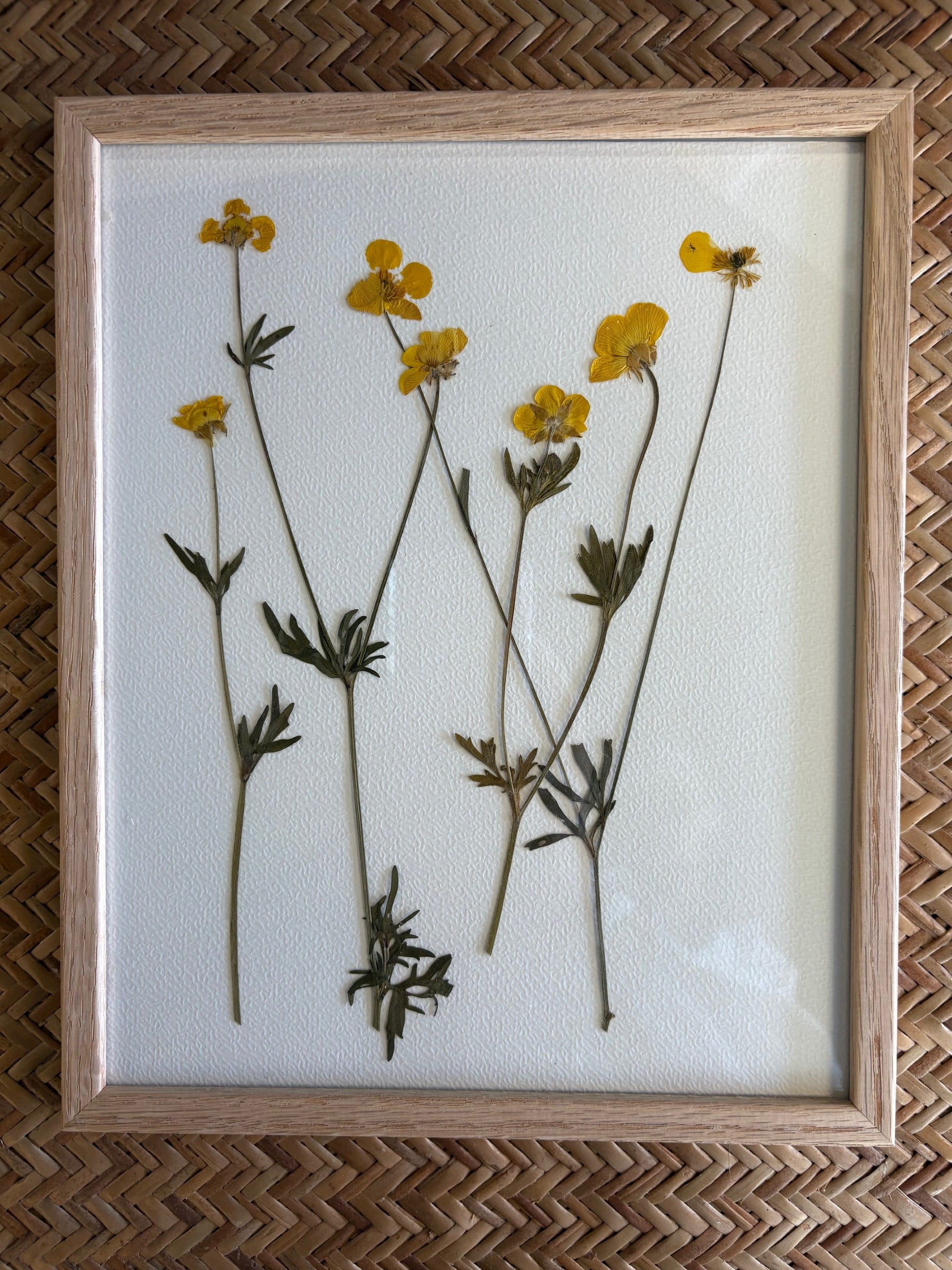 Framed pressed yellow flowers on a white background