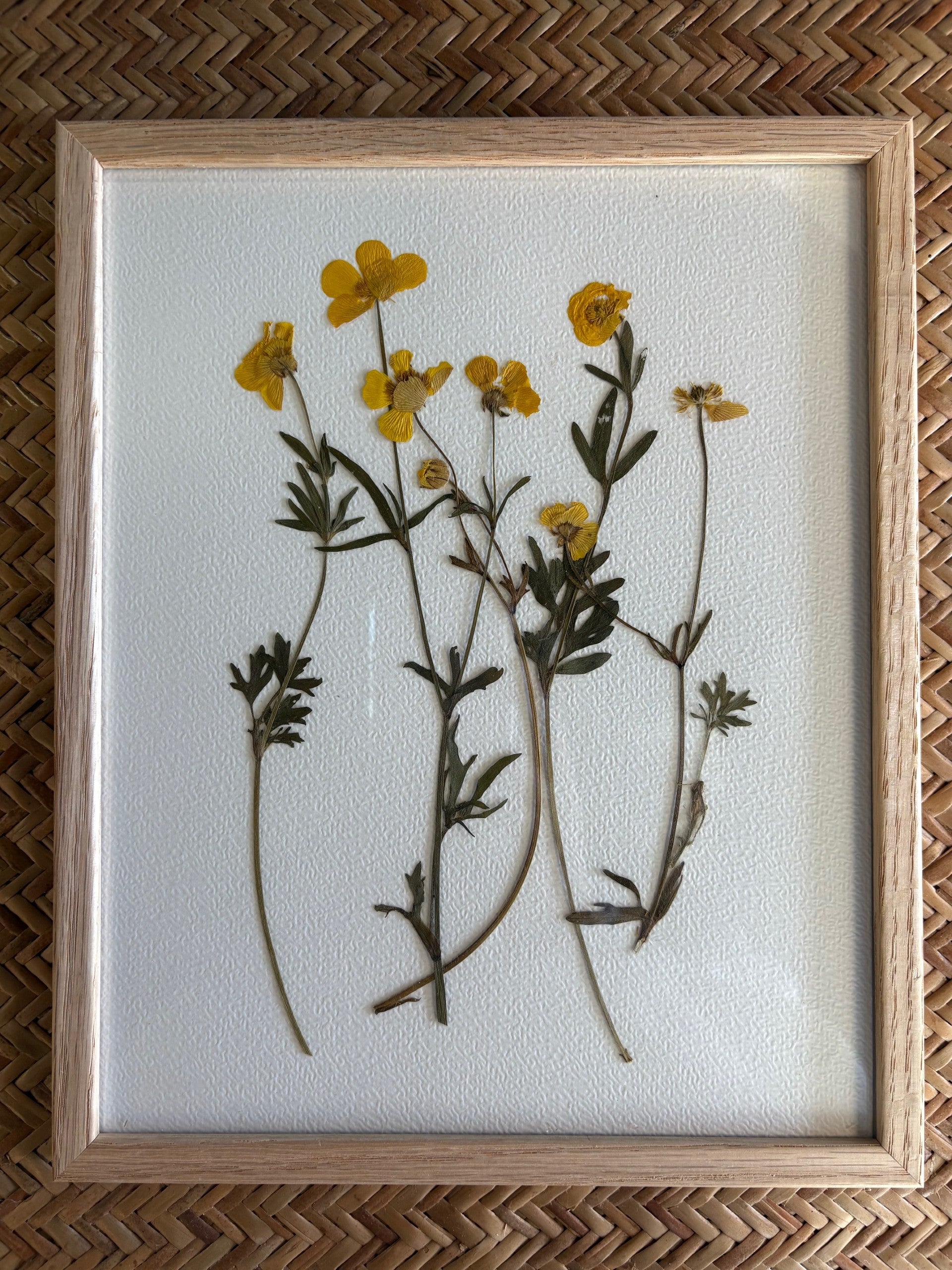 Framed pressed yellow flowers and green leaves on a textured white background