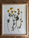 Framed pressed yellow flowers and green leaves on a textured white background