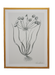 hand painted botanical