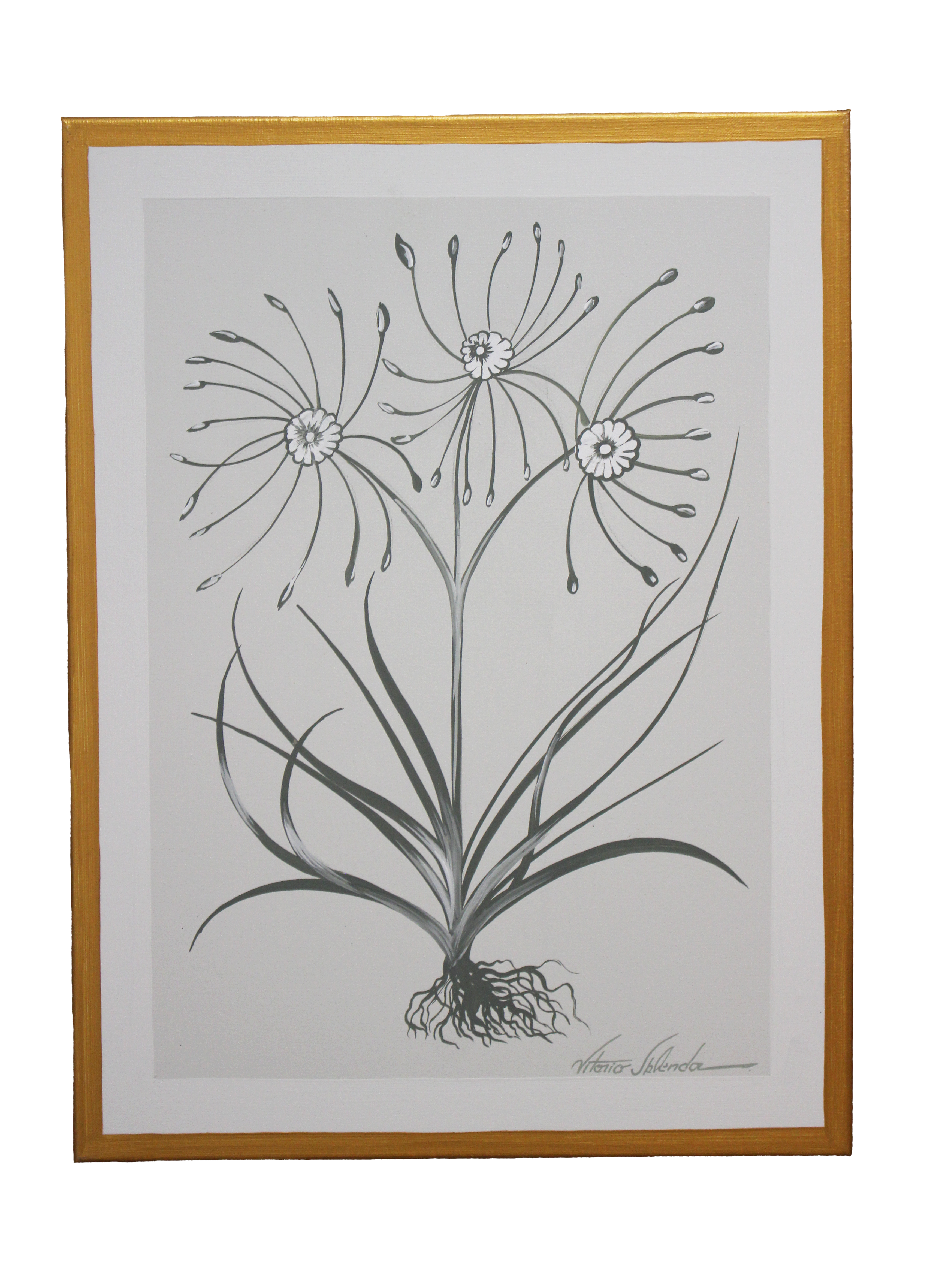 botanical illustration with 3 blooms