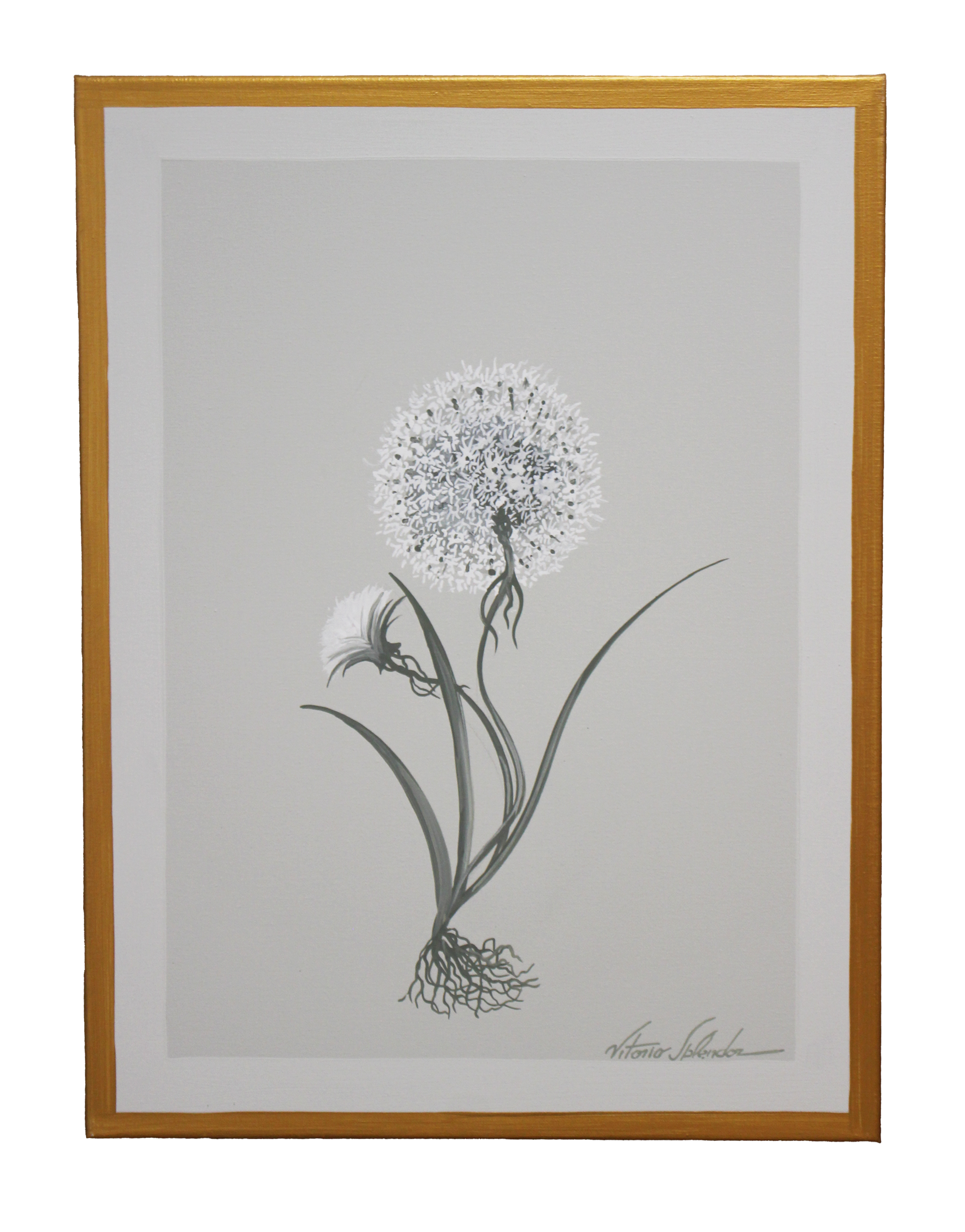 botanical bloom on white background