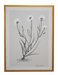 3 large stalks botanical hand painted