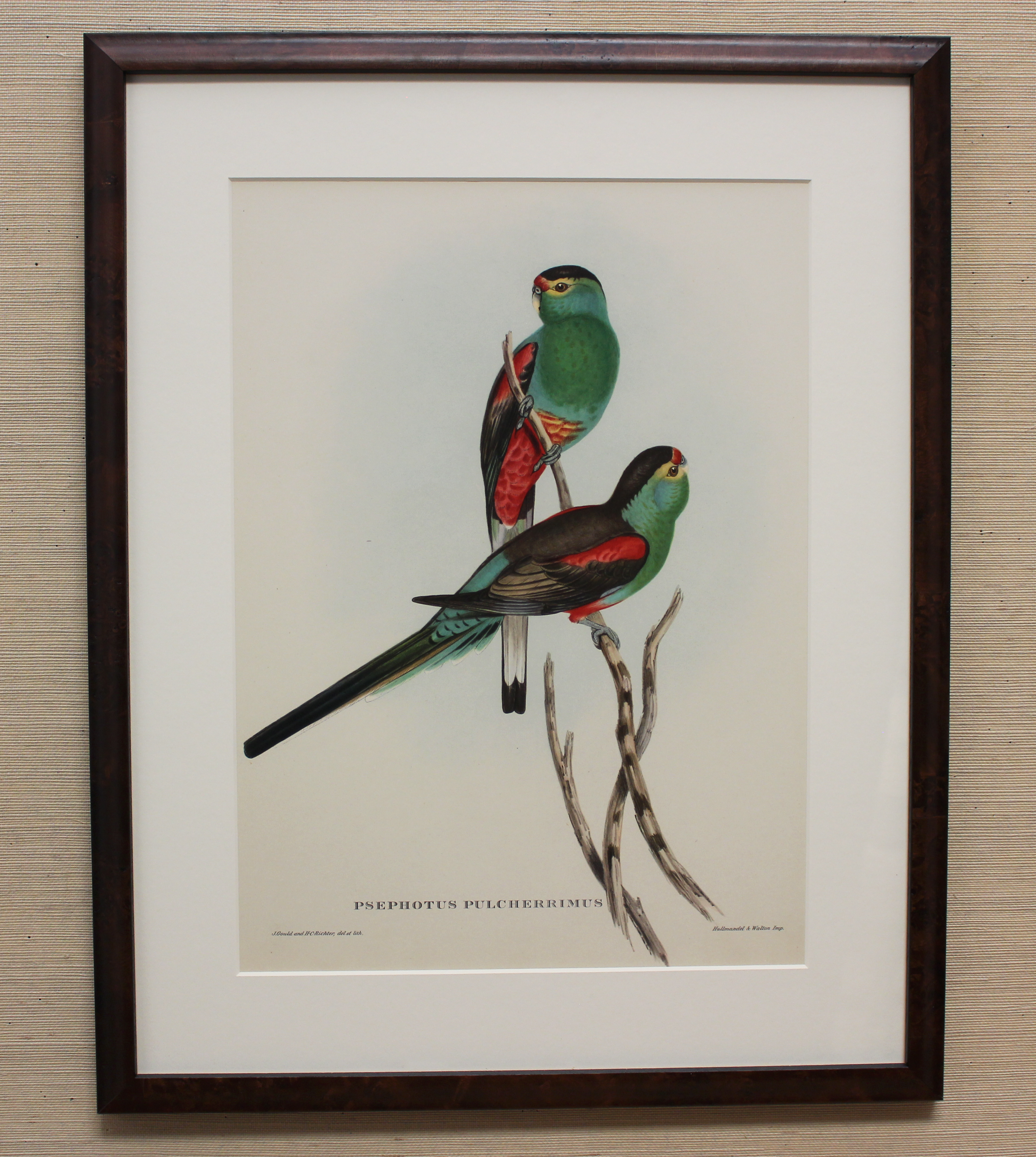 Vintage Framed Bird Print