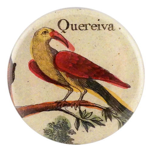 John Derian Decoupage Button Mirror