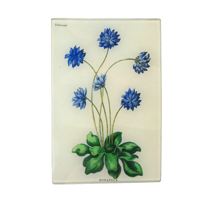 glass tray with blue flowers