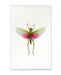 photograph of pink grasshopper on white background