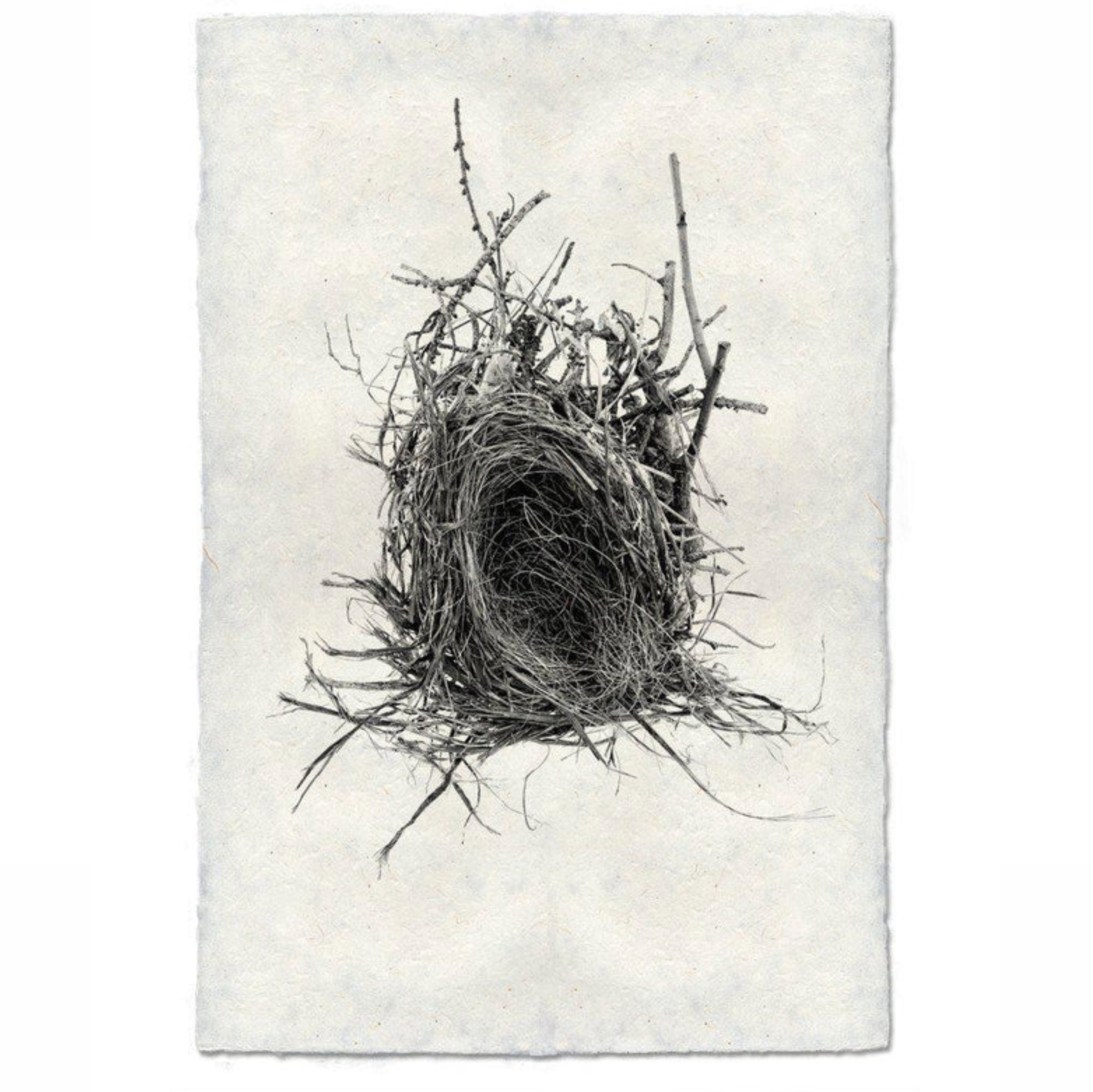 black and white photo of nest on handmade paper