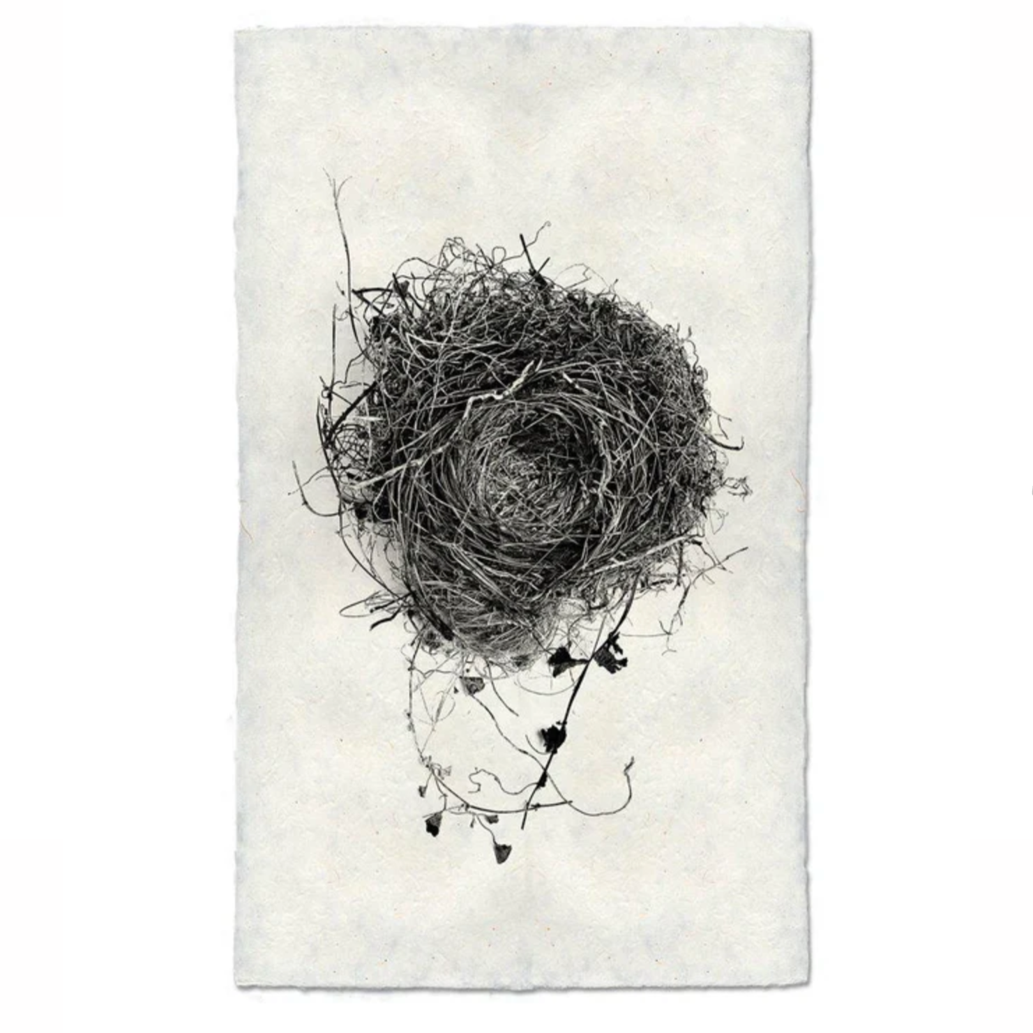 top-down photograph of a nest on handmade paper