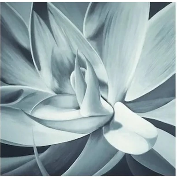 Agave Art